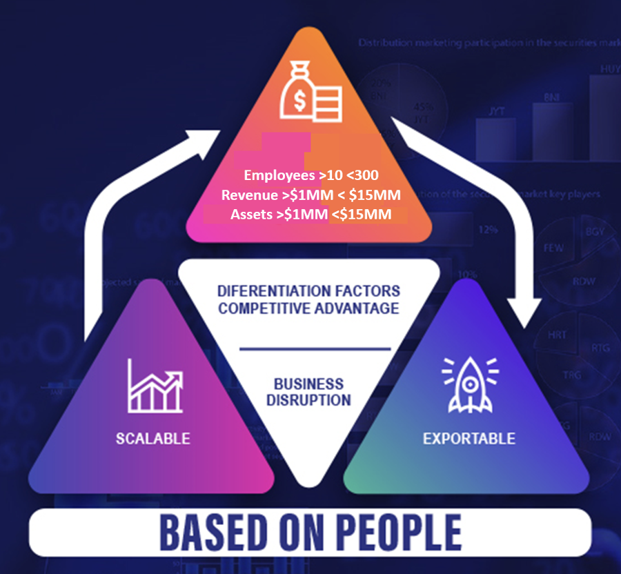 Pirámide de tipos de empresas